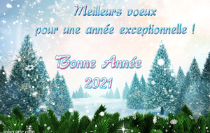 VOEUX 2021