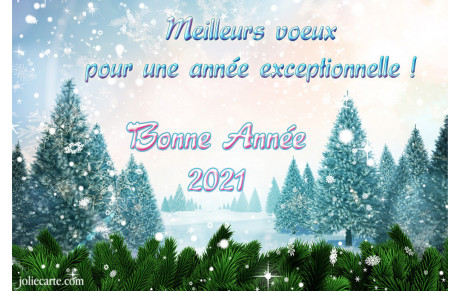 VOEUX 2021